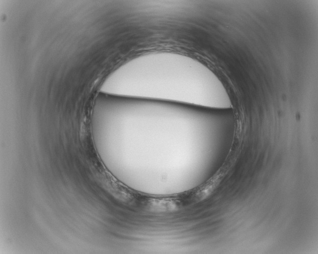 X0000052940520200507221150