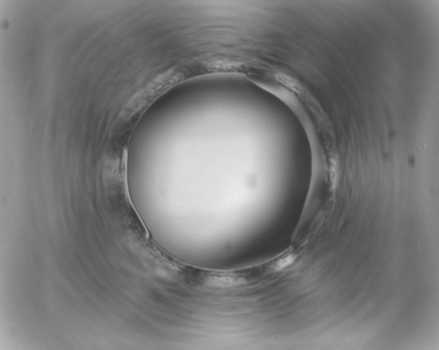 X0000052940521200507221150