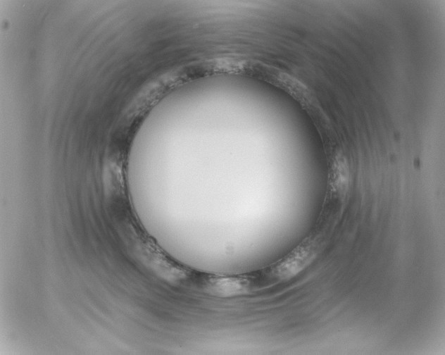 X0000052940522200507221150