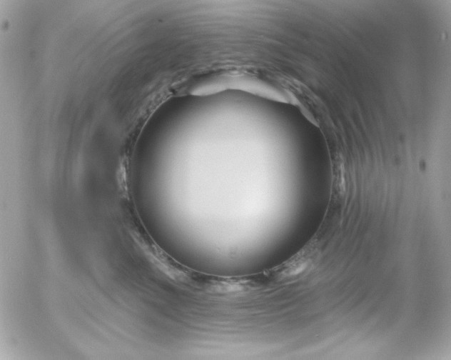 X0000052940523200507221150