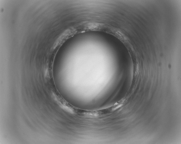 X0000052940524200507221150