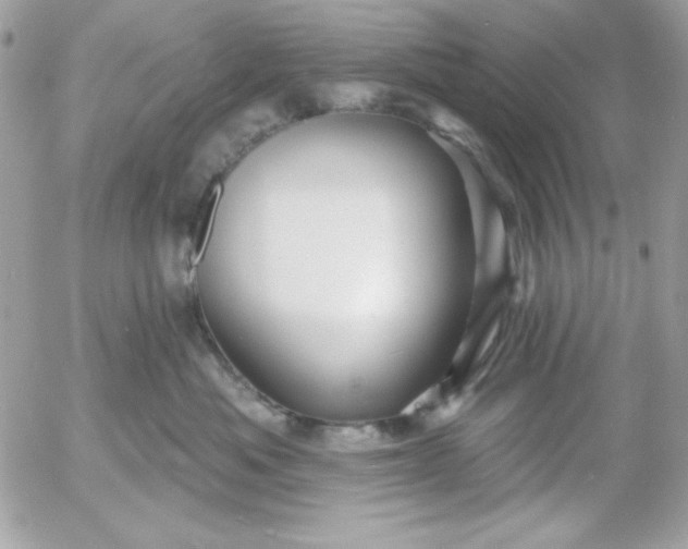 X0000052940525200507221150