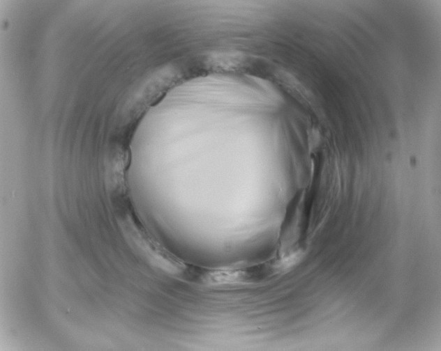 X0000052940526200507221150