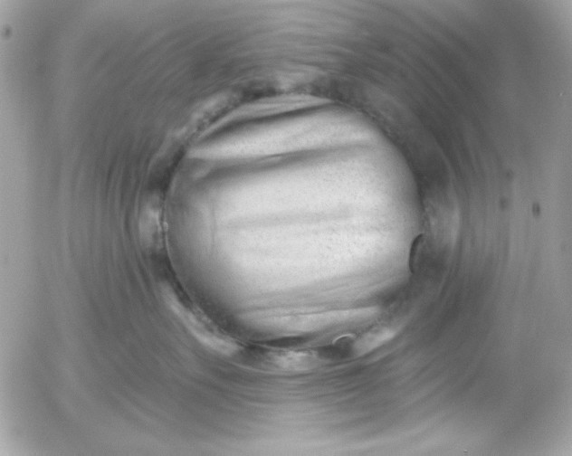 X0000052940527200507221150