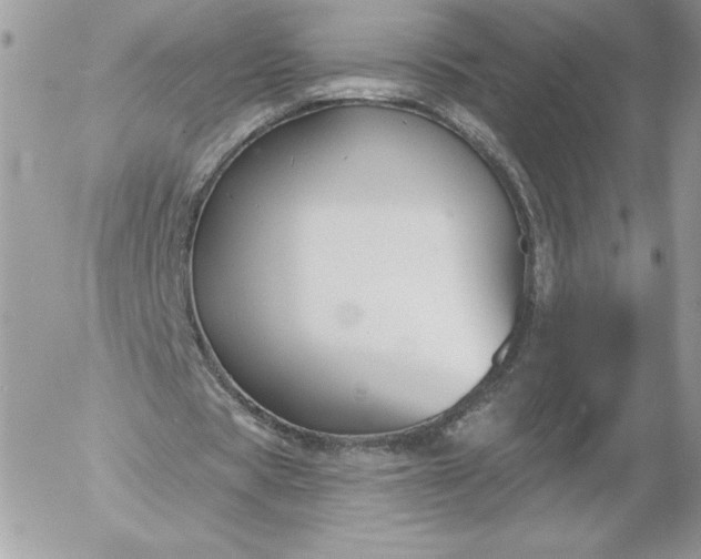 X0000052940529200507221149