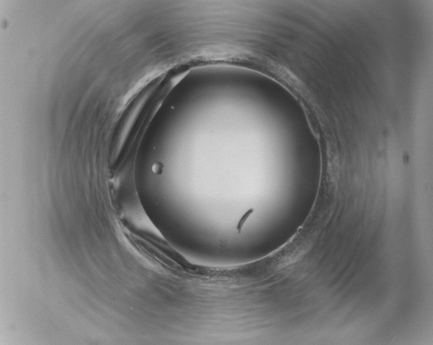 X0000052940530200507221149