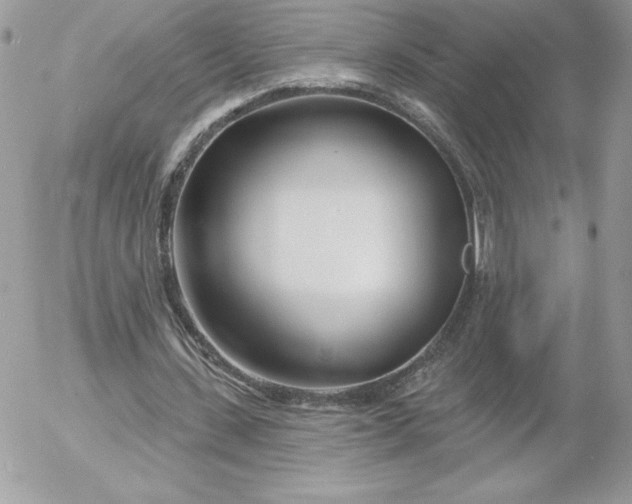 X0000052940531200507221149