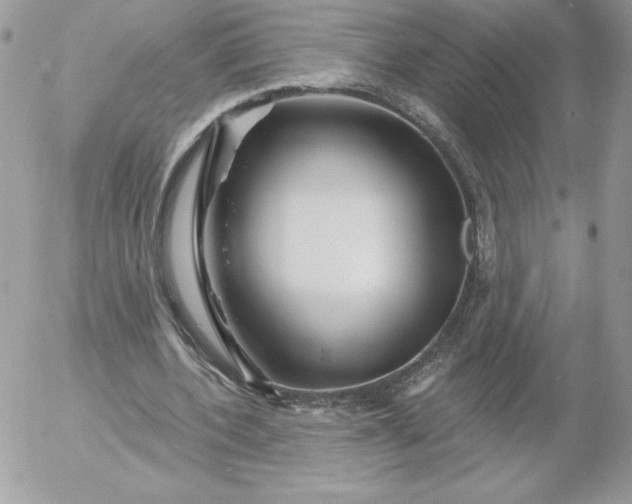 X0000052940532200507221149