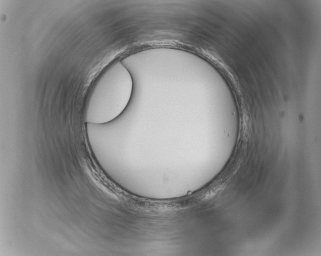 X0000052940533200507221149