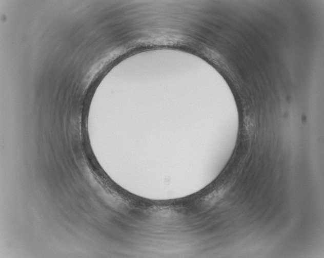 X0000052940534200507221149