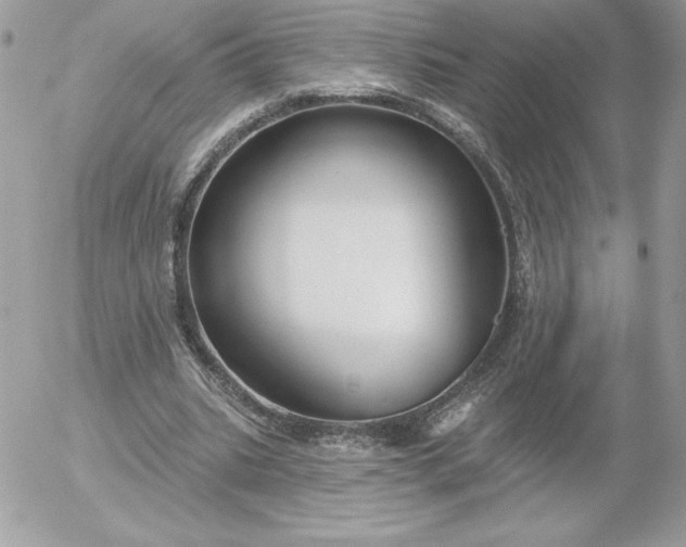 X0000052940535200507221149