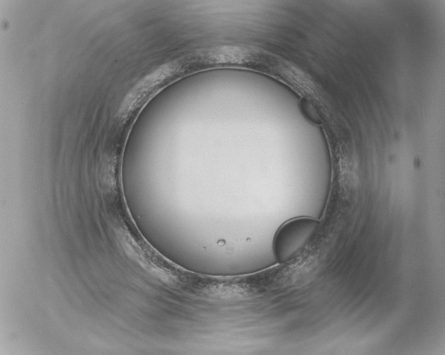 X0000052940537200507221149