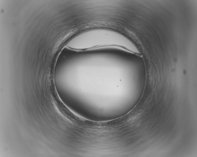 X0000052940538200507221149