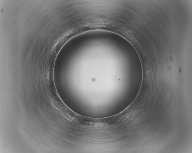 X0000052940539200507221149