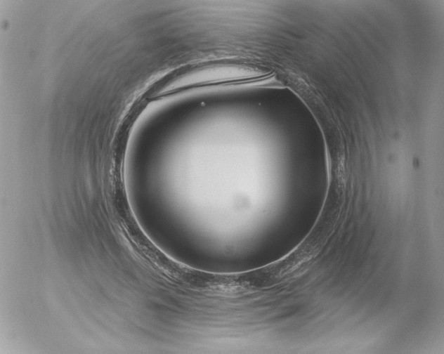 X0000052940540200507221149