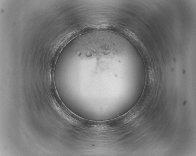 X0000052940541200507221149