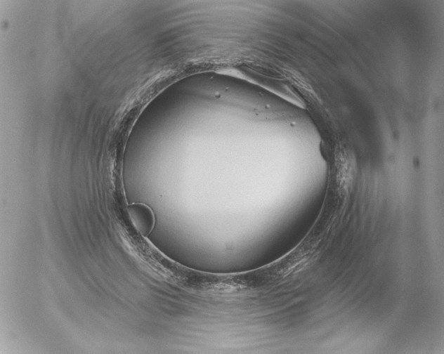 X0000052940542200507221149