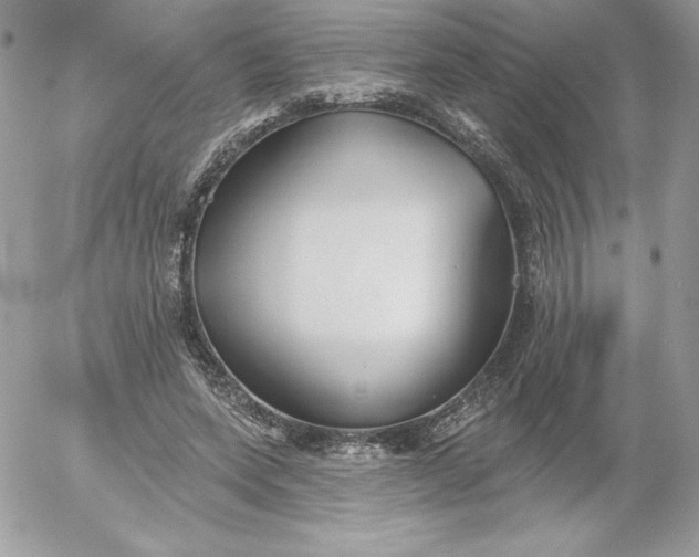 X0000052940543200507221149