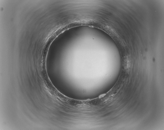 X0000052940544200507221149