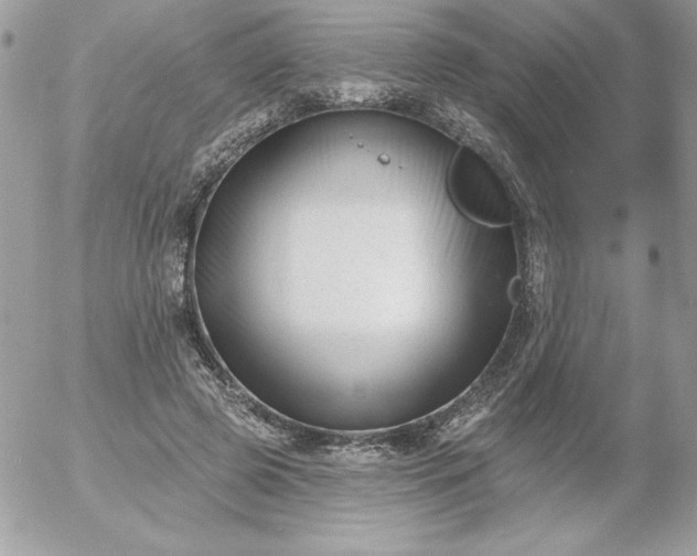 X0000052940545200507221149