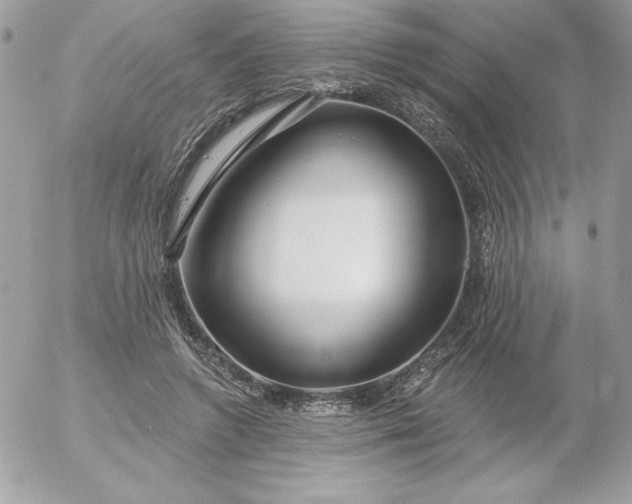 X0000052940546200507221149