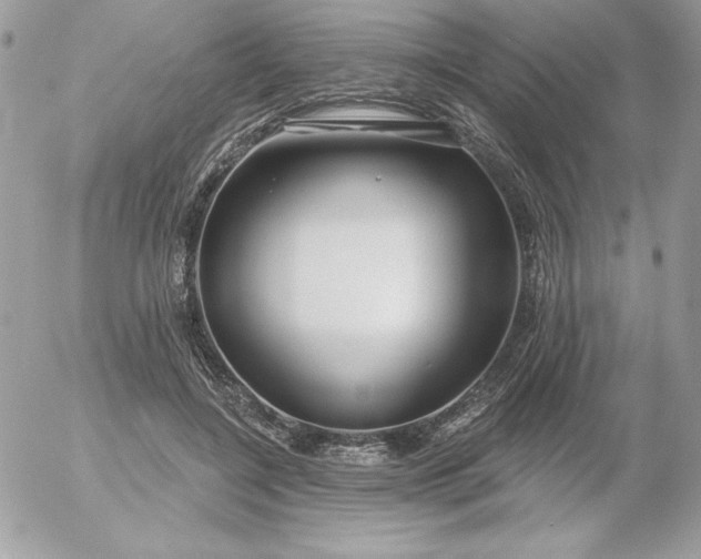 X0000052940548200507221149