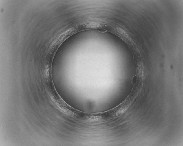 X0000052940549200507221149