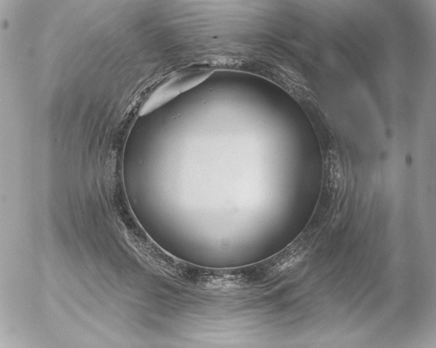 X0000052940550200507221149