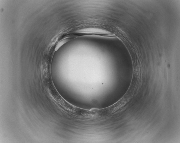 X0000052940552200507221149