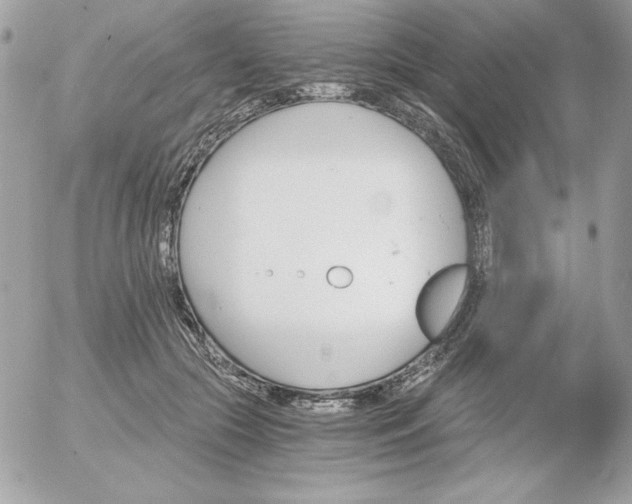 X0000052940553200507221149