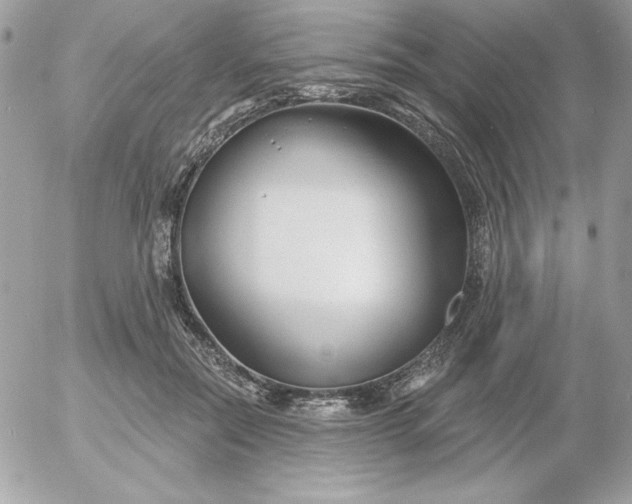 X0000052940554200507221149