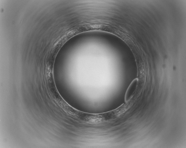 X0000052940555200507221149