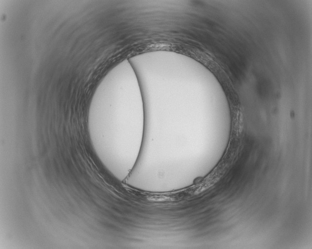 X0000052940557200507221149