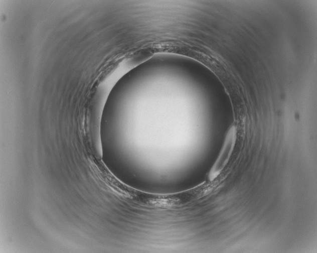 X0000052940558200507221149