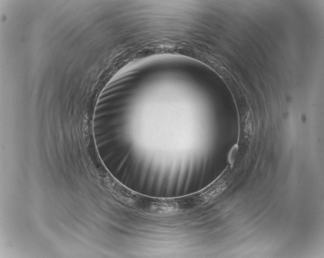 X0000052940559200507221149