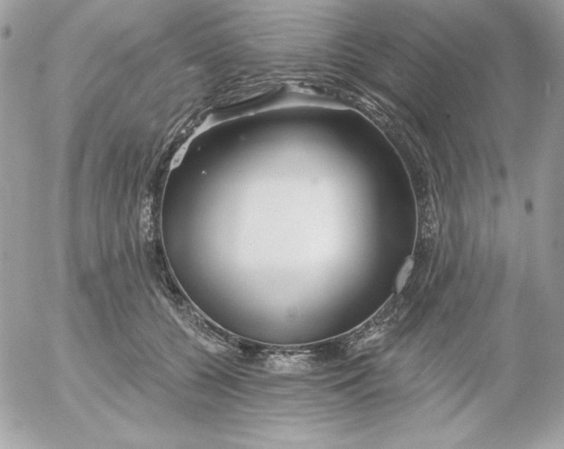 X0000052940560200507221149