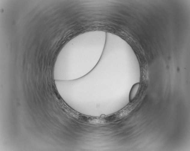 X0000052940561200507221149