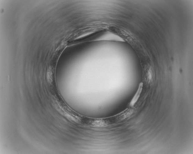 X0000052940562200507221149