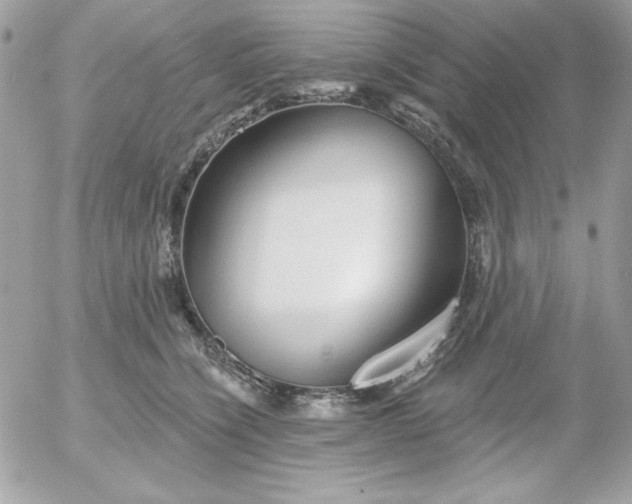 X0000052940564200507221149