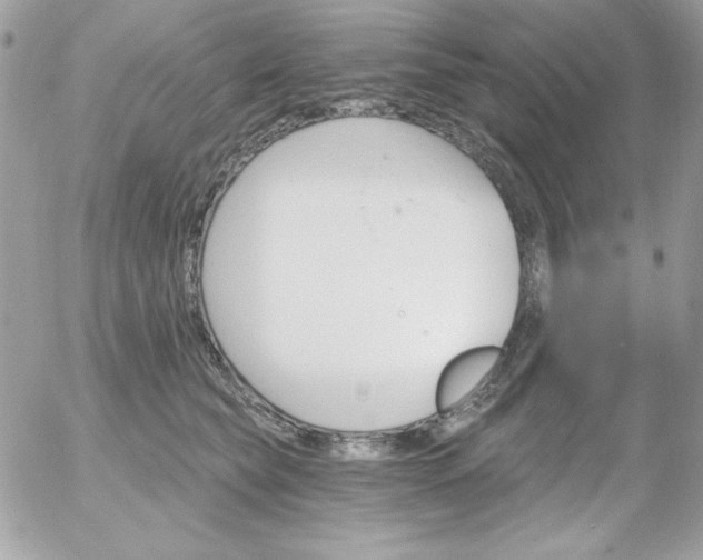 X0000052940565200507221149