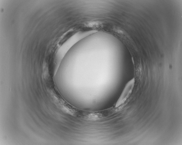 X0000052940566200507221149