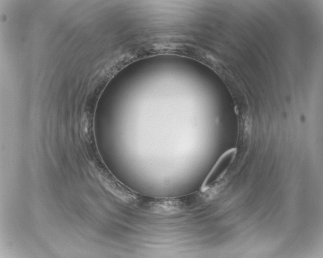 X0000052940567200507221149