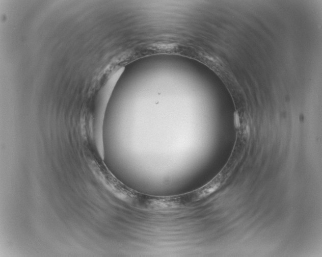 X0000052940568200507221149