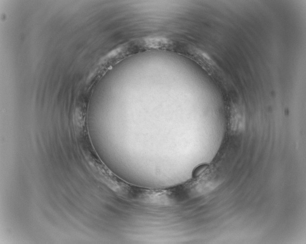 X0000052940569200507221149