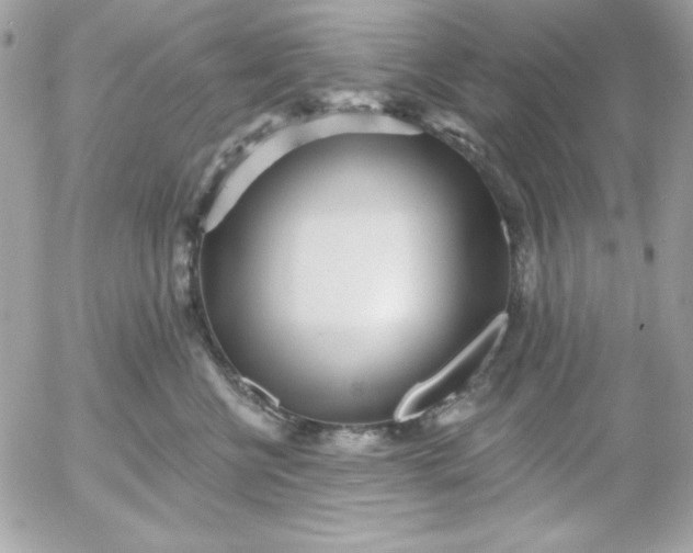 X0000052940570200507221149