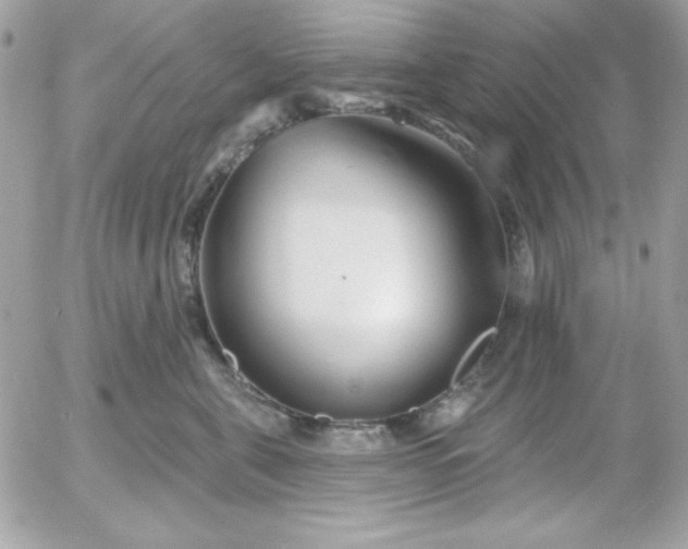 X0000052940571200507221149