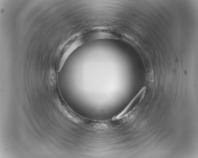 X0000052940572200507221149