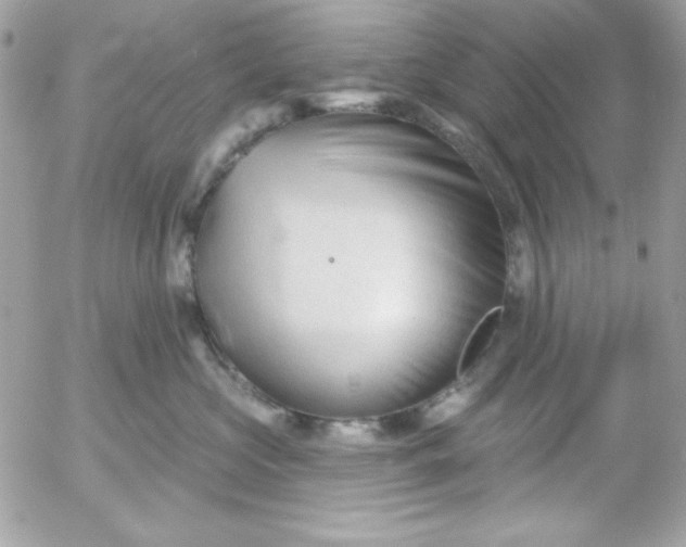 X0000052940573200507221149