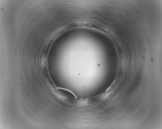 X0000052940574200507221149