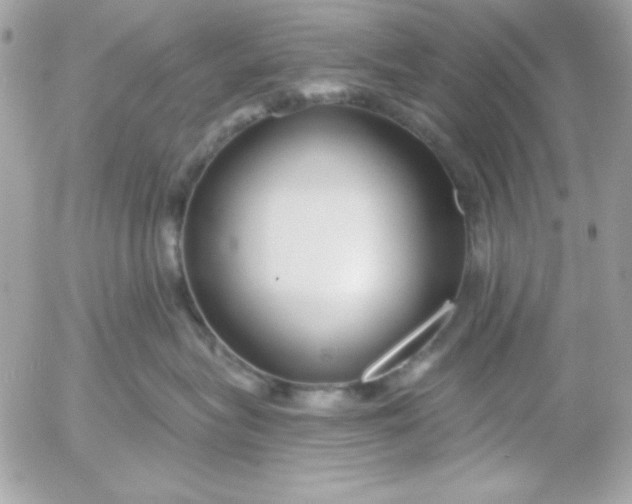 X0000052940575200507221149